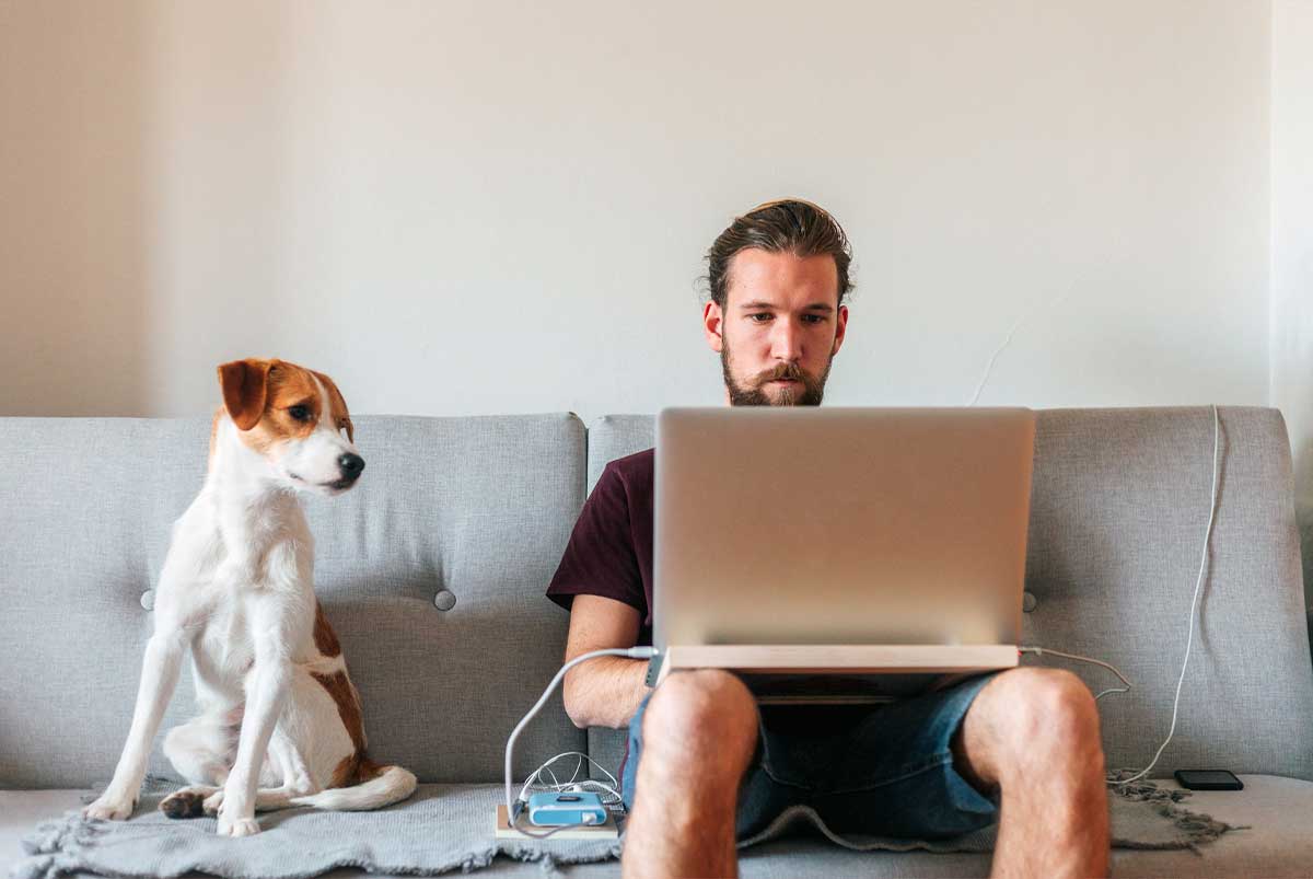 Man sitting on couch with laptop and dog