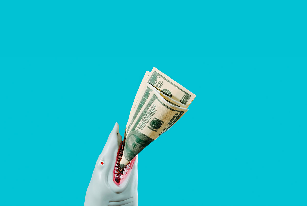 A shark grabs a stack of cash with its teeth.