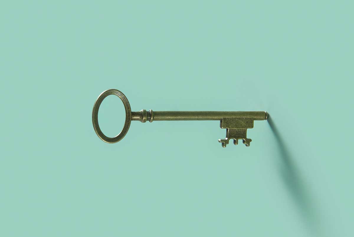 Conceptual image of key on green background