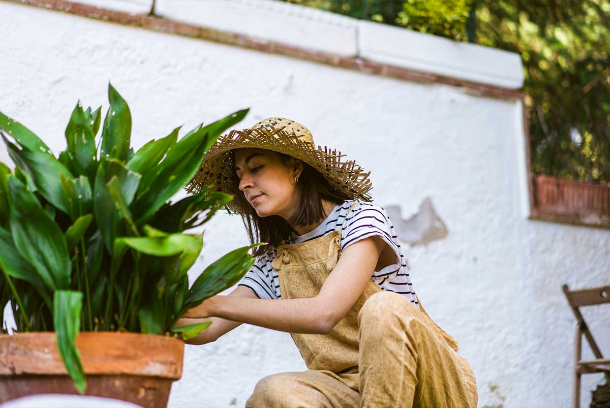 Woman in hat and overalls tends to a plant outside on a patio.