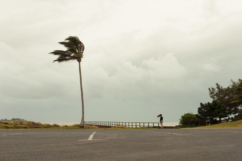 Wind blowing woman's hair and palm tree