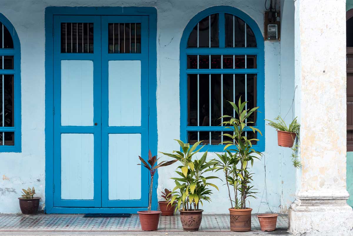 A blue front door with plants in front of it.